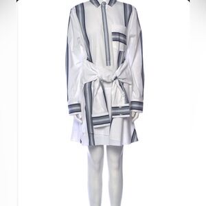 Derek Lam Button Down Shirt Dress